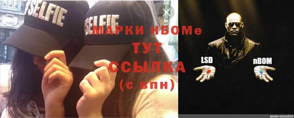 ПСИЛОЦИБИНОВЫЕ ГРИБЫ Арсеньев