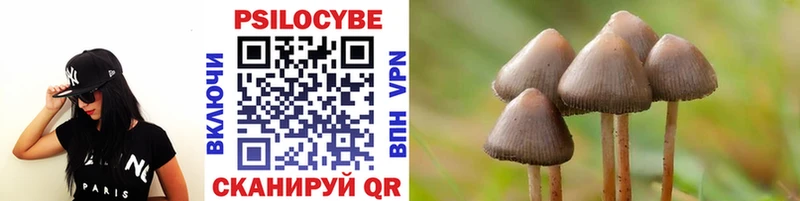 Псилоцибиновые грибы Cubensis  Николаевск-на-Амуре 